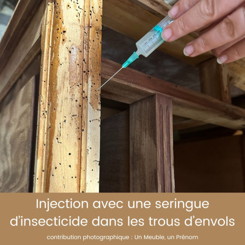 Seringue avec insecticide dans trous d'envols