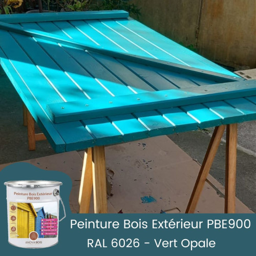 Peinture Bois Extérieur PBE900 - Peinture ral pour bois
