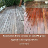 Dégriseur professionnel pour terrasse en bois