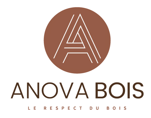Logo Anova Bois